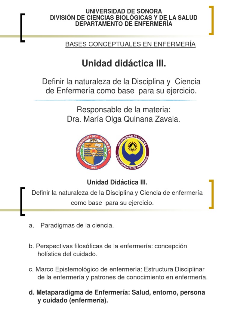 Metaparadigma de Enfermería PDF Enfermería Paradigma