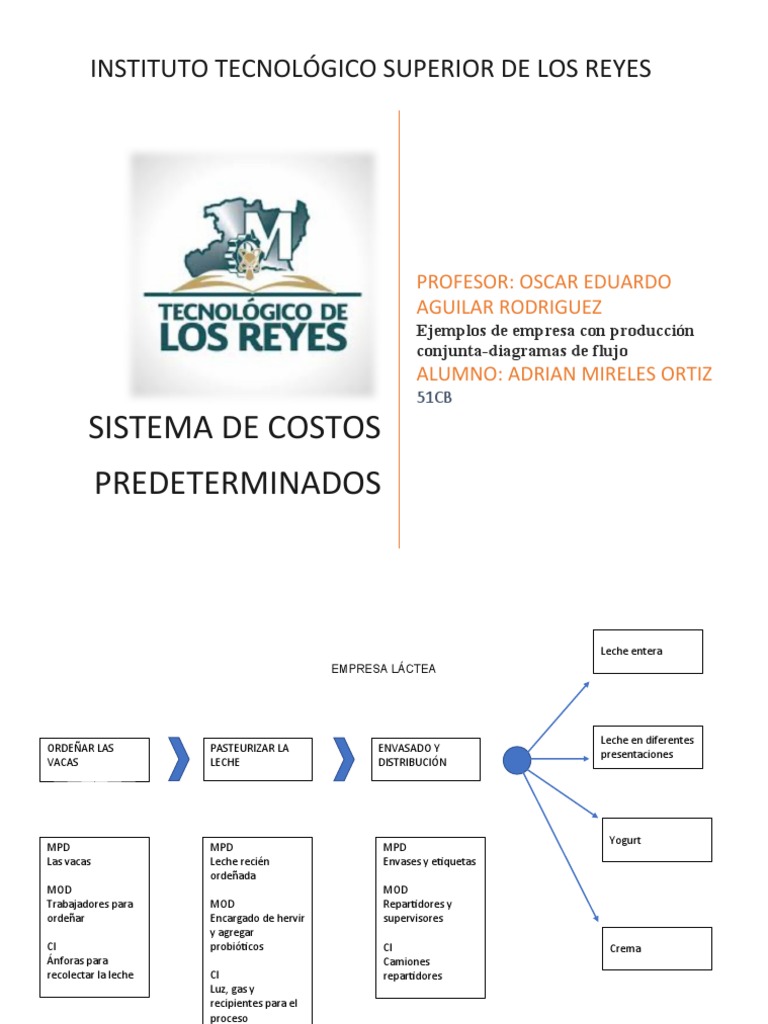 Elemplos de Producción Conjunta PDF Leche Nutrición