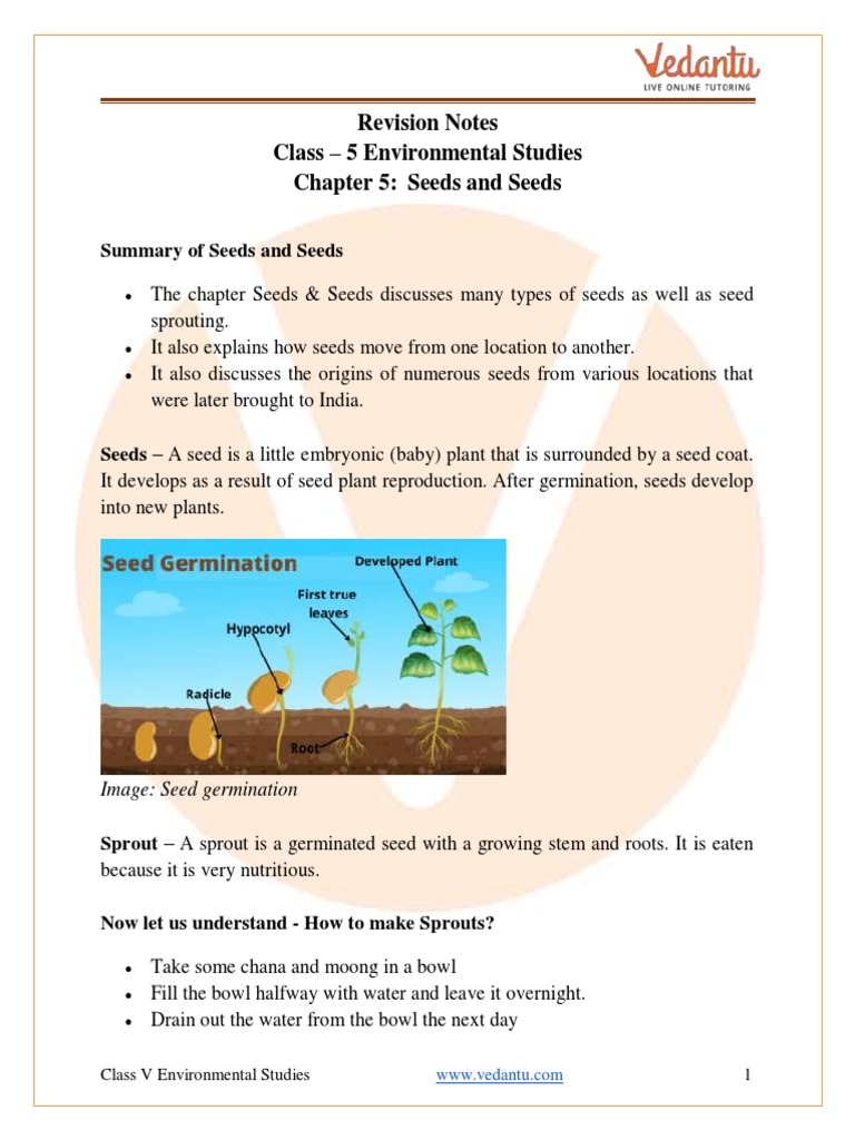 Class 5 EVS: Seeds and Their Dispersal | PDF | Seed | Vegetables