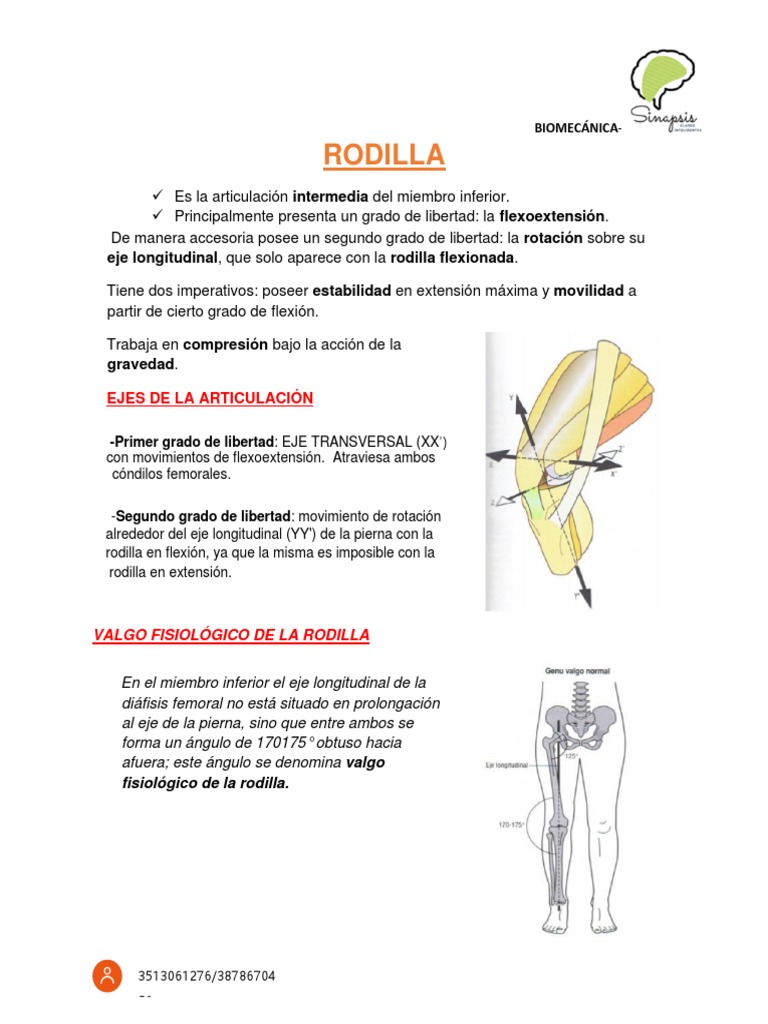 Catalogo Sistemas De Rodilla Bioadvance...A3 Sistema De Rodilla Bioadvance A3 Sistema De Rodilla Primaria 02 B