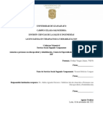 Formato Informe Trimestral SSP LTFR