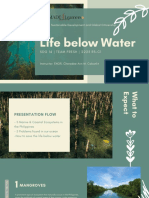 SDG14 Life Below Water - What Are The Type of Bodies of Water