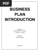 Business Plan Introduction Sample