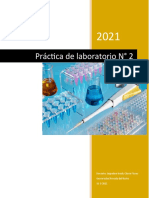 Formato 2 - Quimica Laboratorio