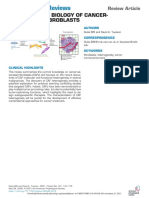 Diversity and Biology of Cancer Associated Fibroblasts