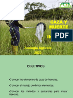 CAZA Y MUERTE Insectos 2023 PPT Clase