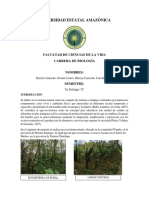Ecosistema Natural y Agroecosistema - T1..