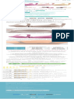 Sutiã Safira - Fecho Frontal e Alças Reguláveis (Kit 3 Peças) - Doutor Precinho