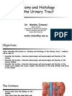 MD2011 Week 5 HRM Anatomy & Histology of The Urinary Tract Notes