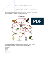 Food Web Project