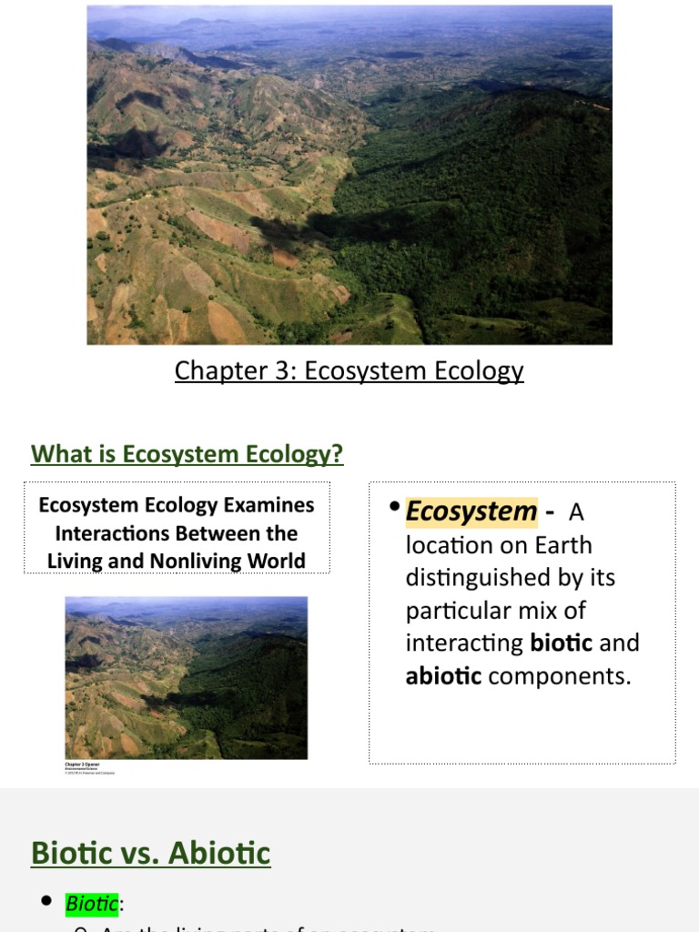 Understanding Ecosystem Ecology Basics | PDF | Food Web | Ecosystem