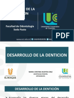 Desarrollo de La Dentición