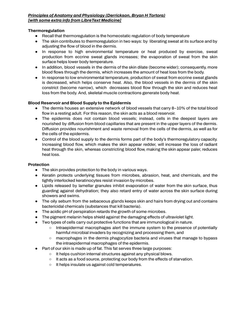 Skin Function PDF Vitamin D Skin