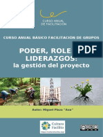 Poder, Roles y Liderazgos - Aua Plaza