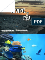 The Living Sea 01