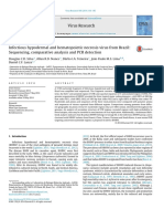 Infectious Hypodermal and Hematopoietic Necrosis Virus From Bra 2014 Virus R