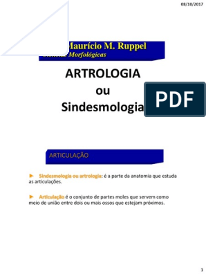 Osteologia e sindesmologia