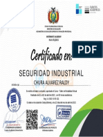 Seguridad Industrial-1