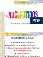 11 Nucleotidos