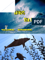 The Living Sea 02
