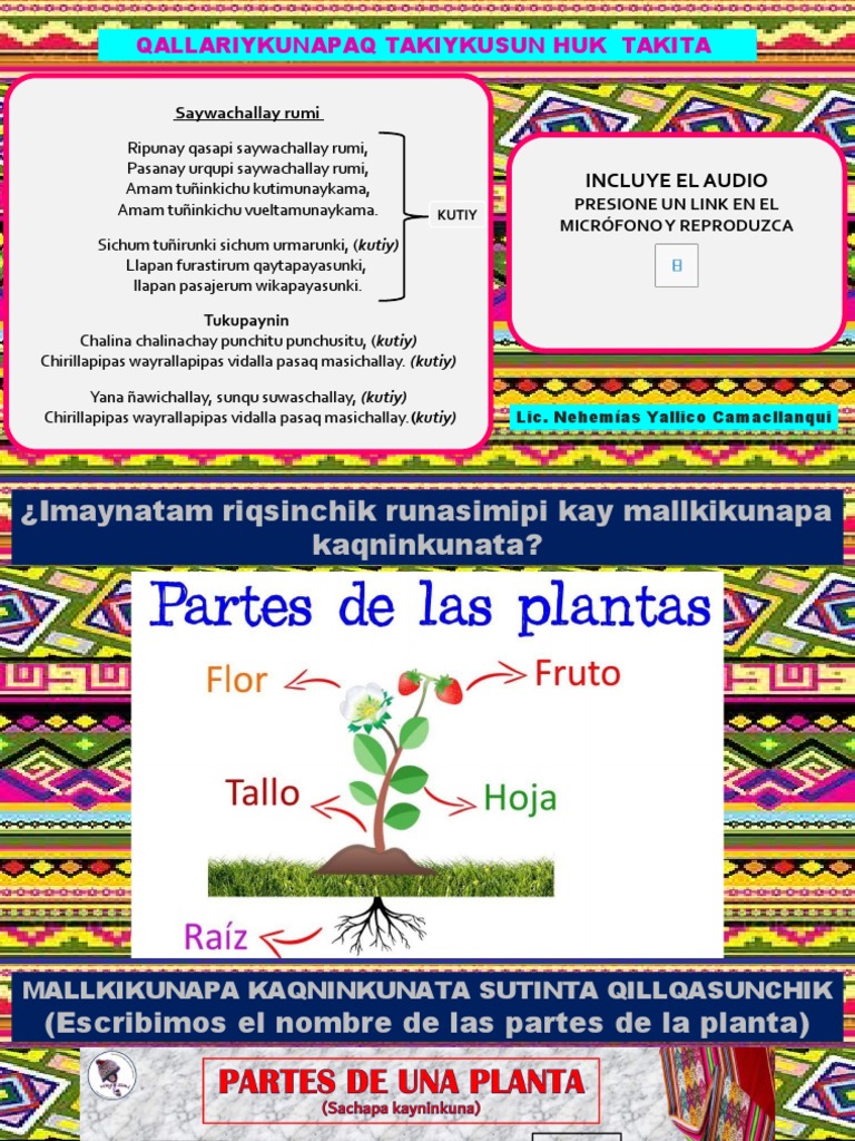 Partes de La Planta en Quechua - Vi | PDF
