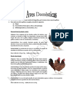 Aves-Domesticas - ESPECIALIDAD