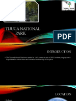 Tijuca National Park 2.5