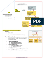 A&P - 8. The Peripheral Nervous System (12p)