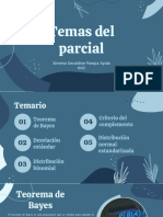 Temas Probabilidad PDF