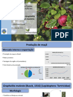 Bioecologia e Manejo de Grapholita Molesta em Macieira