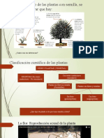 Reproduccion en Plantas 1