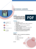 Katherine Curriculum New