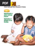 Download International Rice Research Notes Vol28 No1 by ccquintos SN66910137 doc pdf