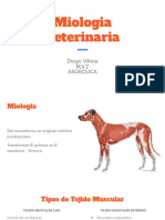 Miologia Veterinaria 