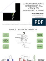 Anatomia Funcional