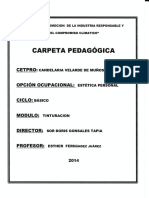 Carpeta Pedagogica1 - 0001