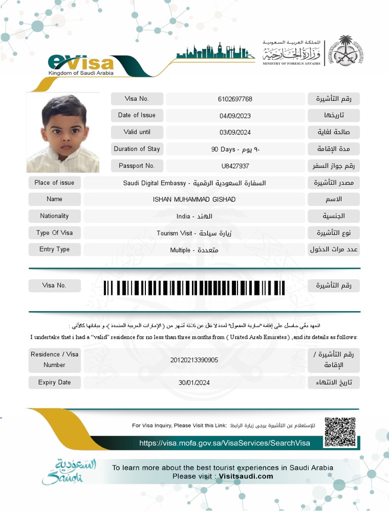 Indian Multiple Entry Visa Details | PDF
