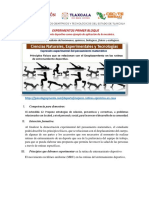 Experimentos Primer Bloque