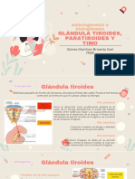 Embriogénesis e Histogénesis de La Glándula Tiroides, Paratiroides y Timo. Gomez Martinez