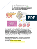 Fisiopatologia Endocrina Diabetes