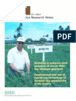 Download International Rice Research Notes Vol29 No1 by ccquintos SN66911611 doc pdf