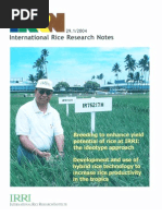 Download International Rice Research Notes Vol29 No1 by ccquintos SN66911611 doc pdf
