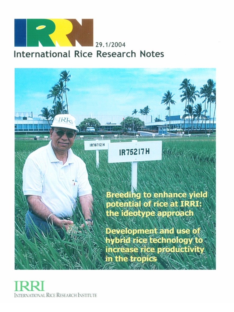 International Rice Research Notes Vol.29 No.1 | PDF | Plant Breeding | Rice
