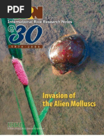 Download International Rice Research Notes Vol30 No2 by ccquintos SN66911975 doc pdf