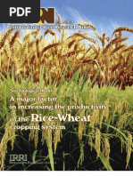 Download International Rice Research Notes Vol30 No1 by ccquintos SN66912045 doc pdf