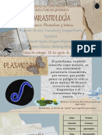 Seminario Plasmodium y Babesia