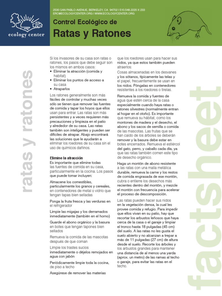 Control de Ratas y Ratones en Casa | PDF | Sótano | Roedor