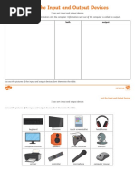 Sort The Input and Output Devices Activity