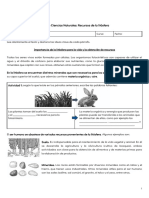 Guía 4 Recursos de La Litósfera