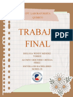 Trabajo Final 2